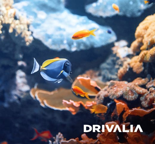 Drivalia