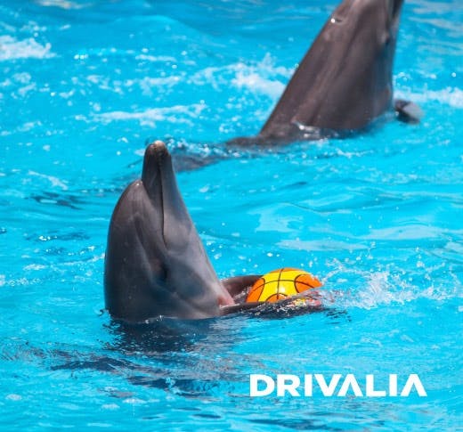 Drivalia