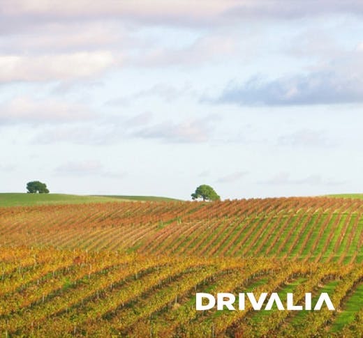 Drivalia